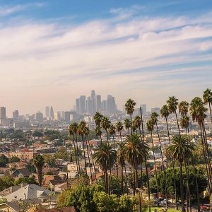 los-angeles-skyline-at-sunset-with-palm-trees-in-the-foreground-miroslav-liska